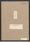 Diatomeae indet. Zeichnungen Sammlung Grunow Nr. 5877 (NHMW-BOT-W0374324)